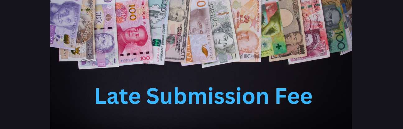 Late Submission Fee LSF Under FEMA